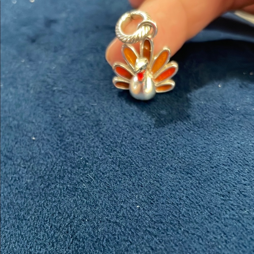 Silver and colored Brighton turkey charm